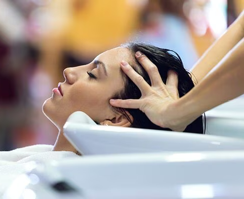 Professional Hair Styling at Meshail